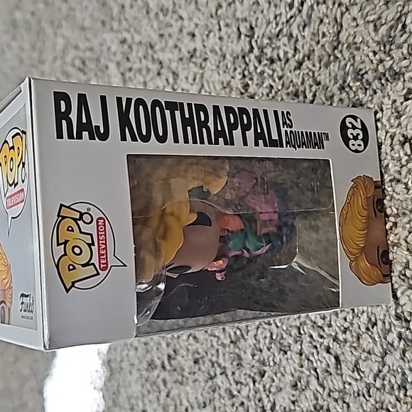 RAJ KOOTHRAPPALI POP TELEVISION # 832 - Picture 7 of 7